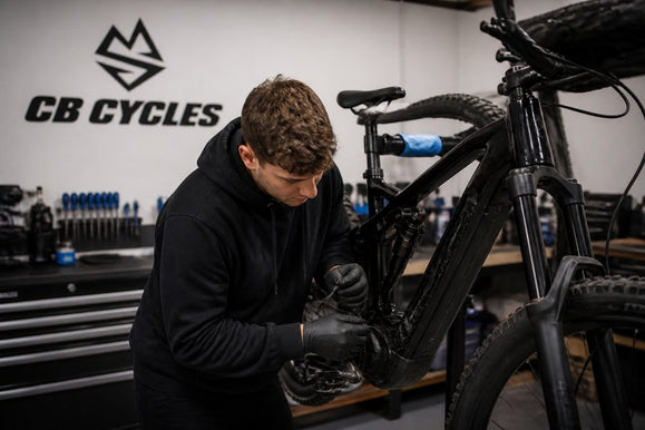 Avinox E-Bike System Diagnostic and Repair
