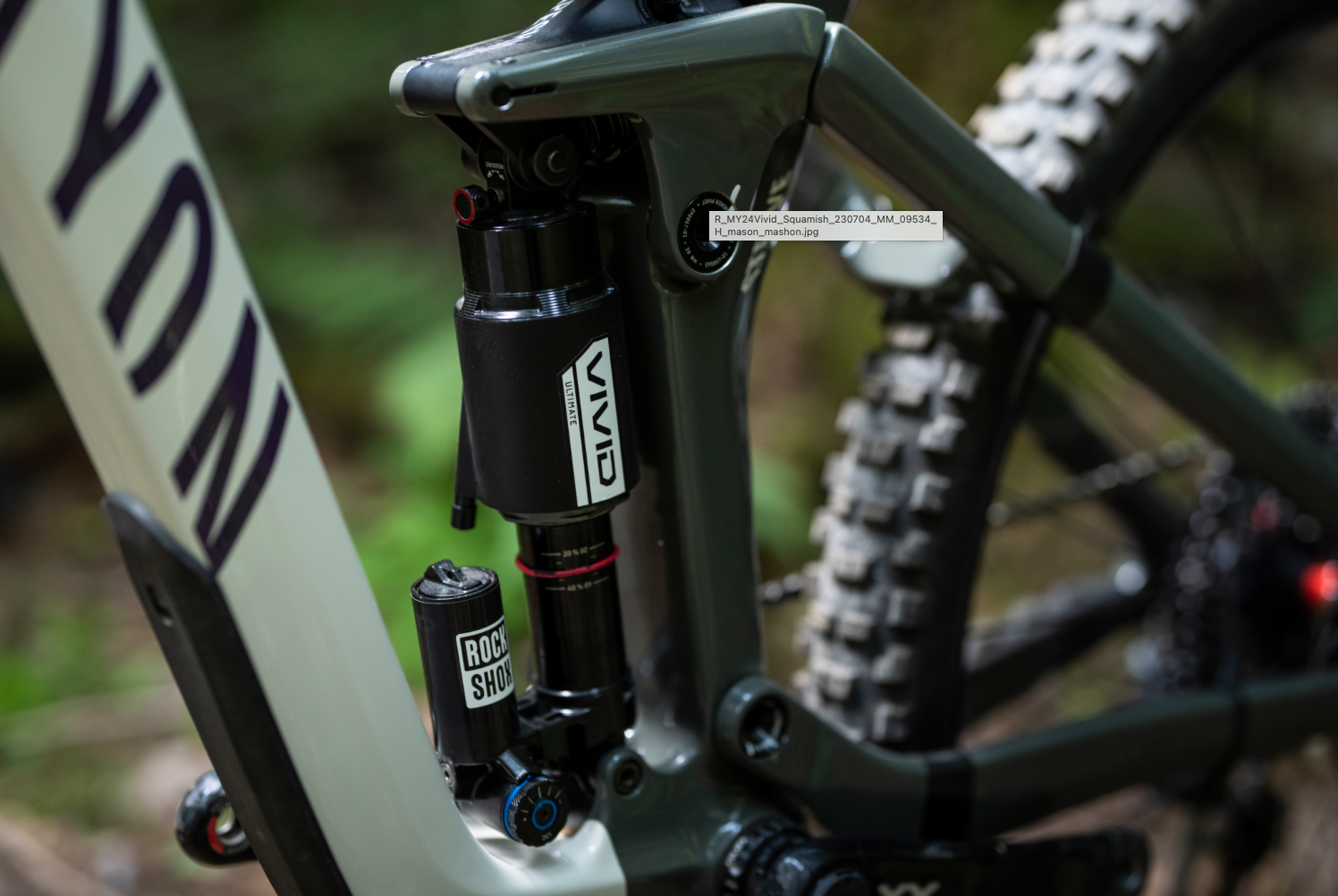 Rear Shocks