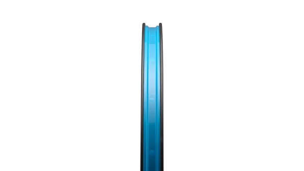 Roval Terra CL III