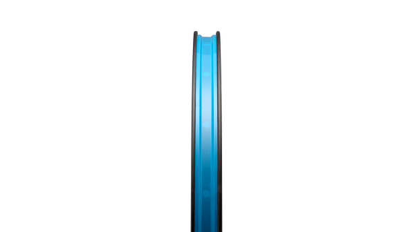 Roval Terra CLX III