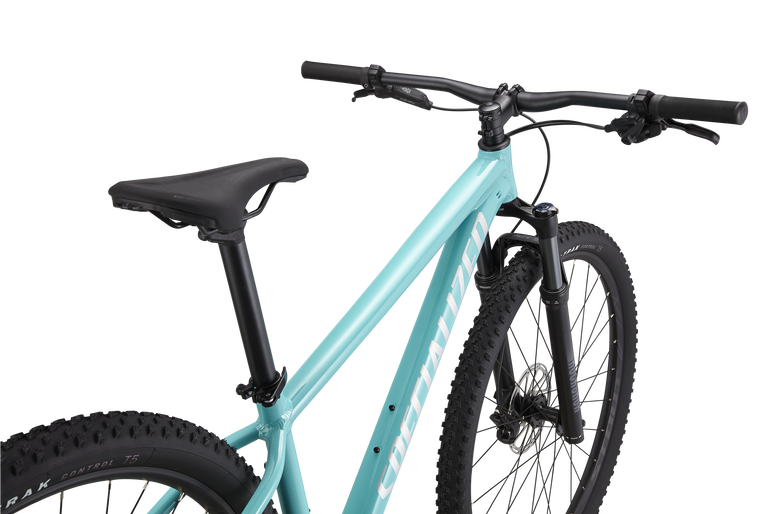 Rockhopper Expert 29
