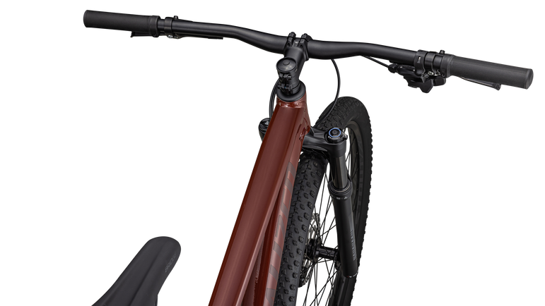 Rockhopper Expert 29