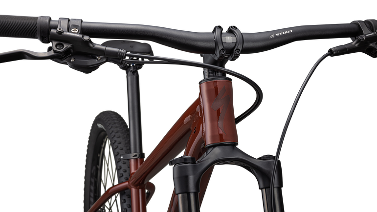 Rockhopper Expert 29