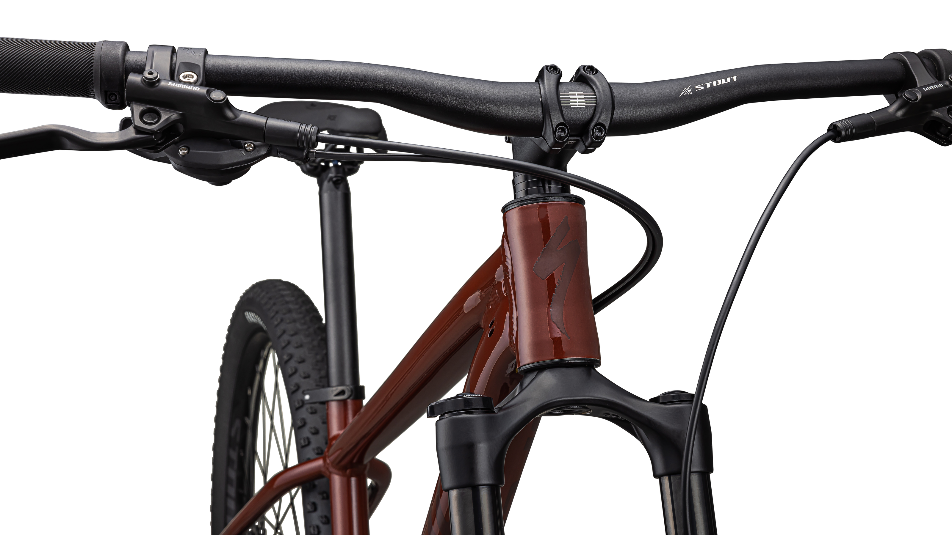 Rockhopper Expert 29
