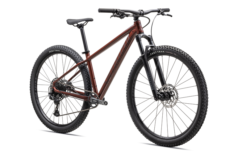 Rockhopper Expert 29