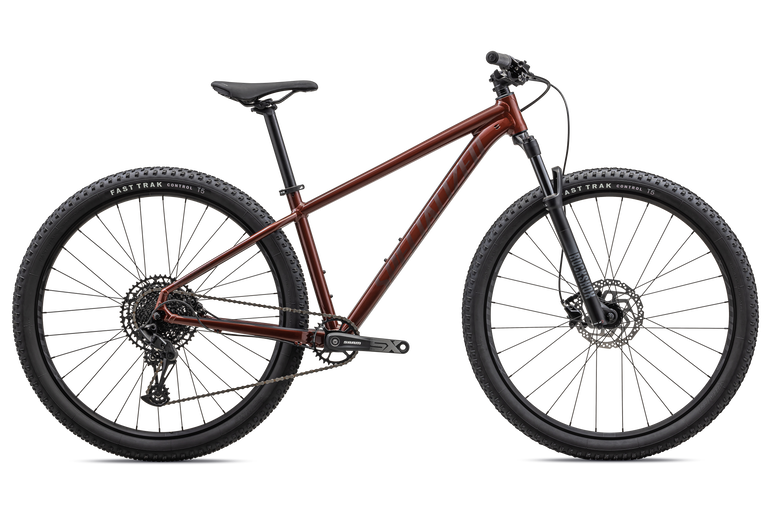 Rockhopper Expert 29