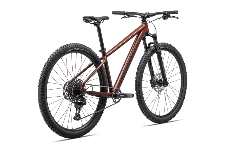 Rockhopper Expert 29