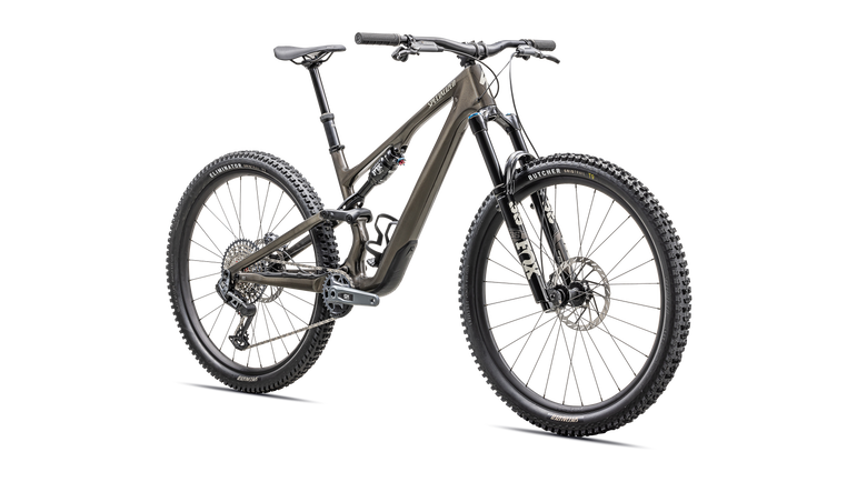 Stumpjumper 15 Expert  - SRAM GX AXS, FOX Performance Elite