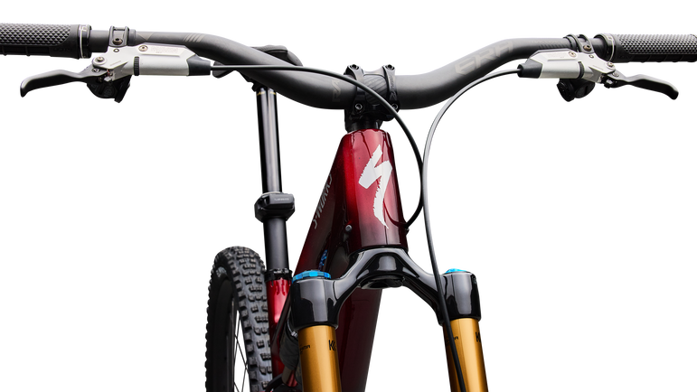 S-Works Stumpjumper 15 EVO