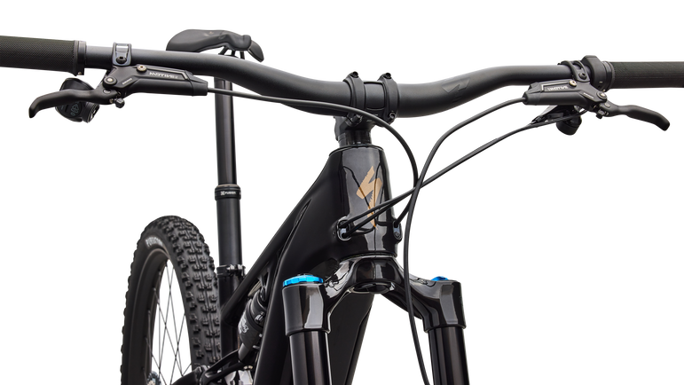Turbo Levo R Expert