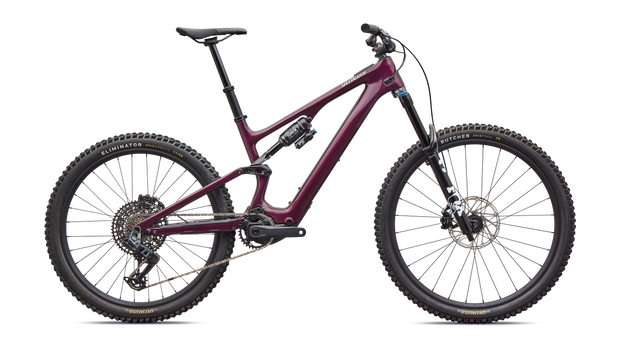 Turbo Levo SL 2 Expert
