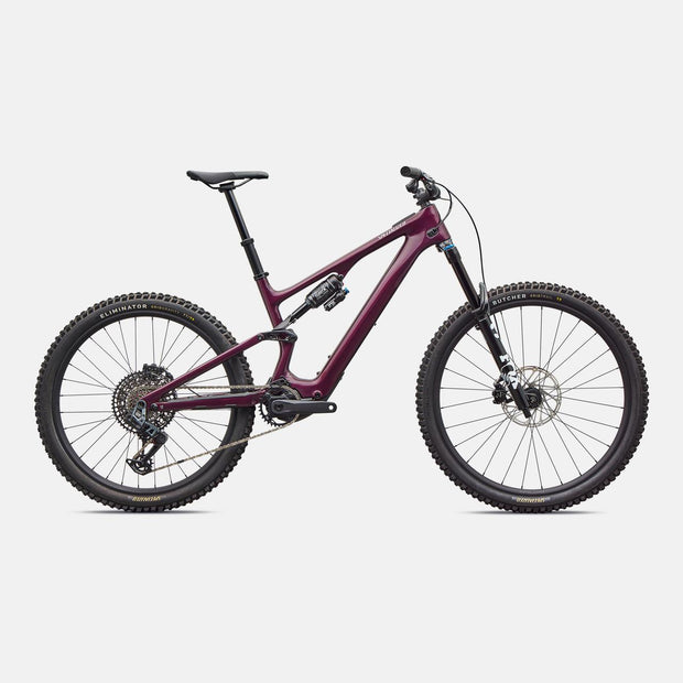 Turbo Levo SL 2 Expert