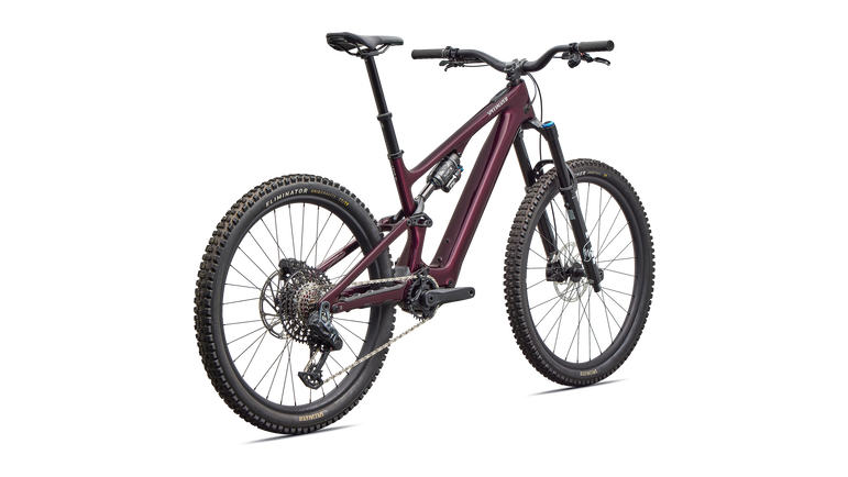Turbo Levo SL 2 Expert