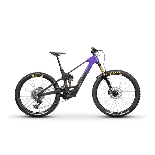 FORBIDDEN DRUID E T4