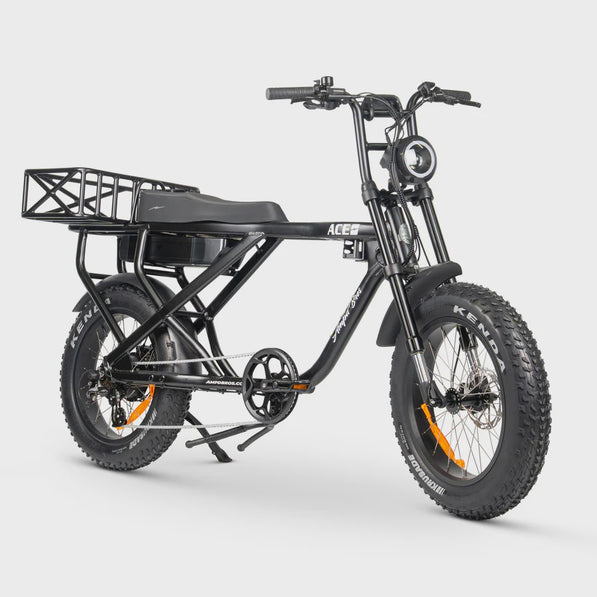 ACE-X Max E-Bike