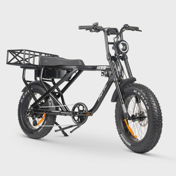 ACE-X Max E-Bike