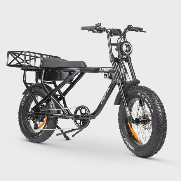 ACE-X Max E-Bike