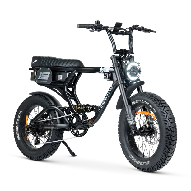 ACE Pro – Dual Suspension e-Bike