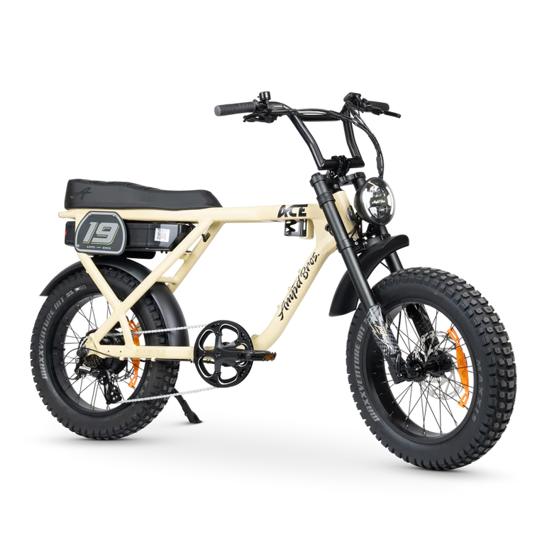 Ampd Bros ACE Adventure Electric Bike