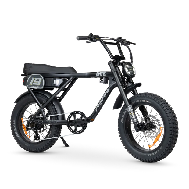 Ampd Bros ACE Adventure Electric Bike