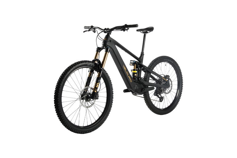 Velduro Rogue R – Avinox M2S Carbon Enduro e-MTB