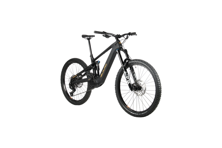 Velduro Rogue X Avinox M2S Carbon Enduro e-MTB