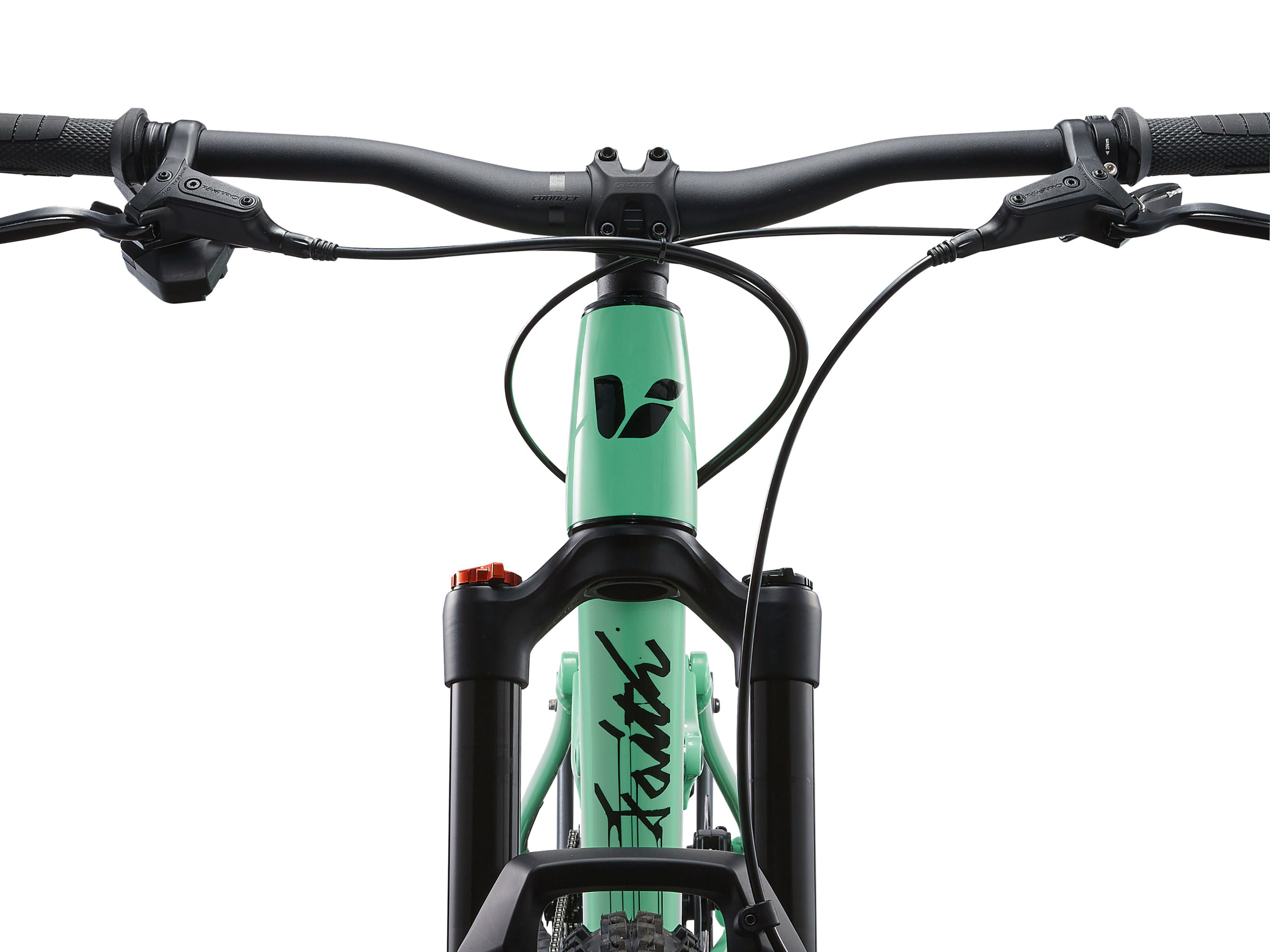 Liv Faith 24 Kids Full Suspension Mountain Bike