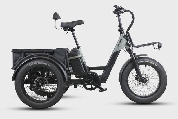 Papa Grande Pro 2025 750w 48v/25Ah