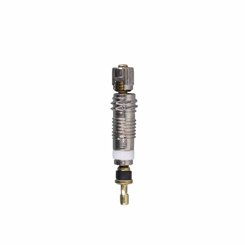 Valve Core SV V002 RECORD (bag of 50)