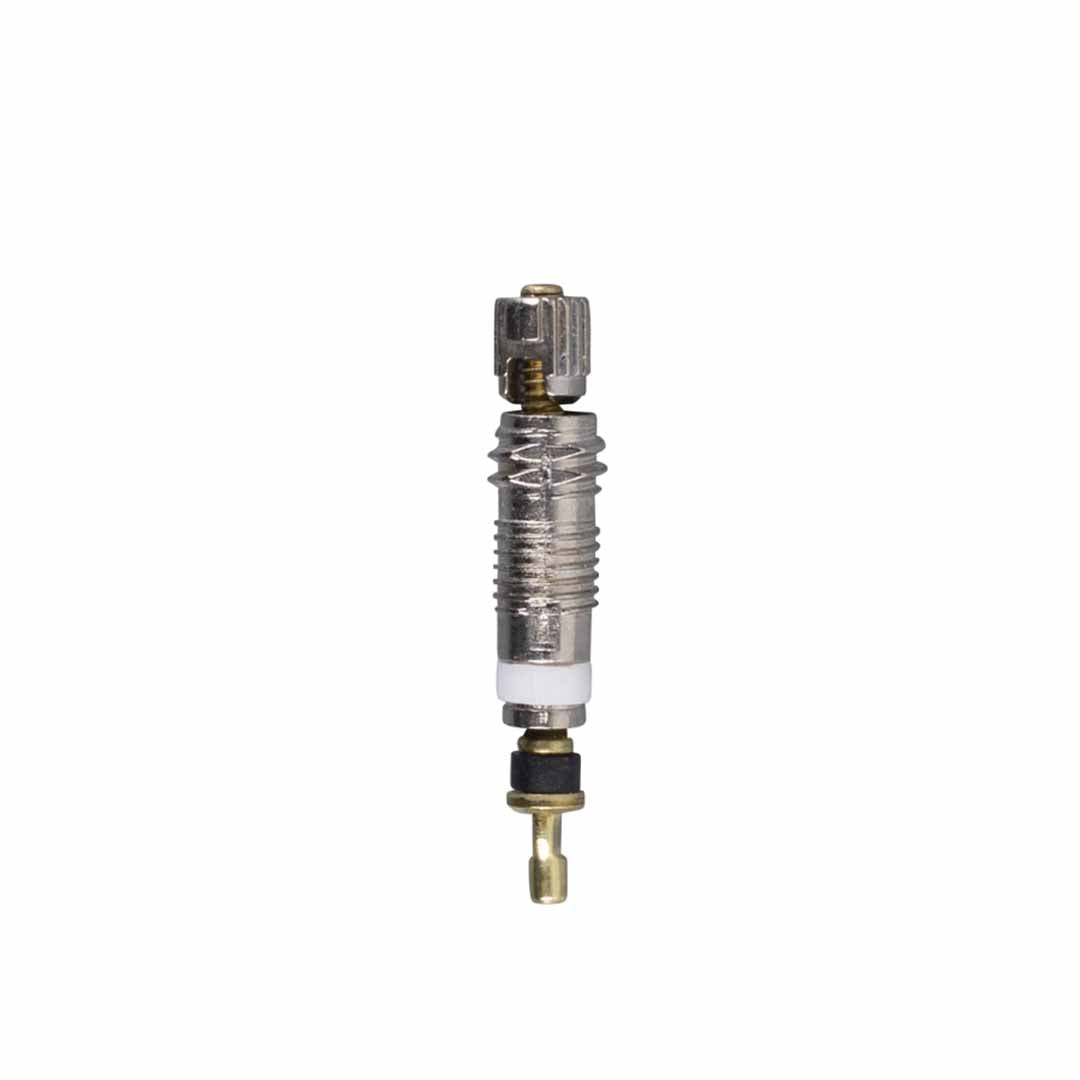 Valve Core SV V002 RECORD (bag of 50)