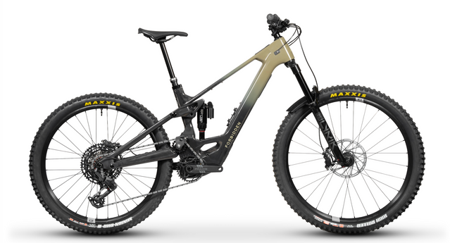 Forbidden Druid E T4 Avinox M2 Electric Mountain Bike