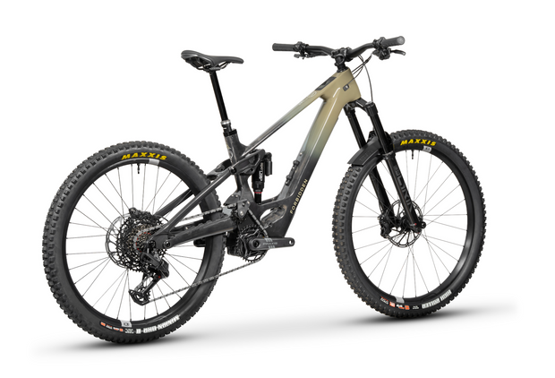 Forbidden Druid E T4 Avinox M2 Electric Mountain Bike