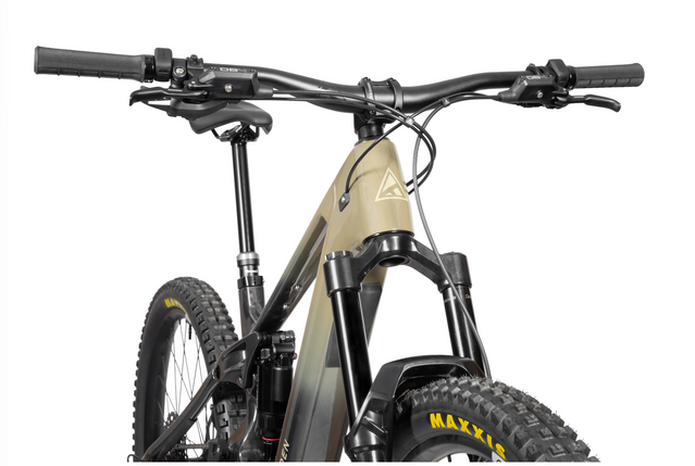 Forbidden Druid E T4 Avinox M2 Electric Mountain Bike