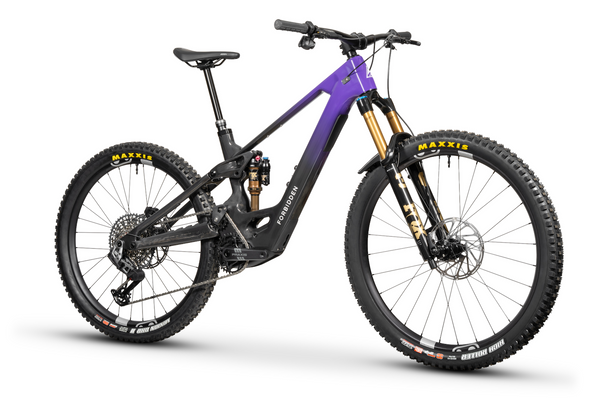 Forbidden Druid E T2 Avinox M2S Electric Mountain Bike