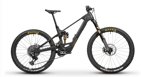 Forbidden Druid E T1 Avinox M2S Electric Mountain Bike