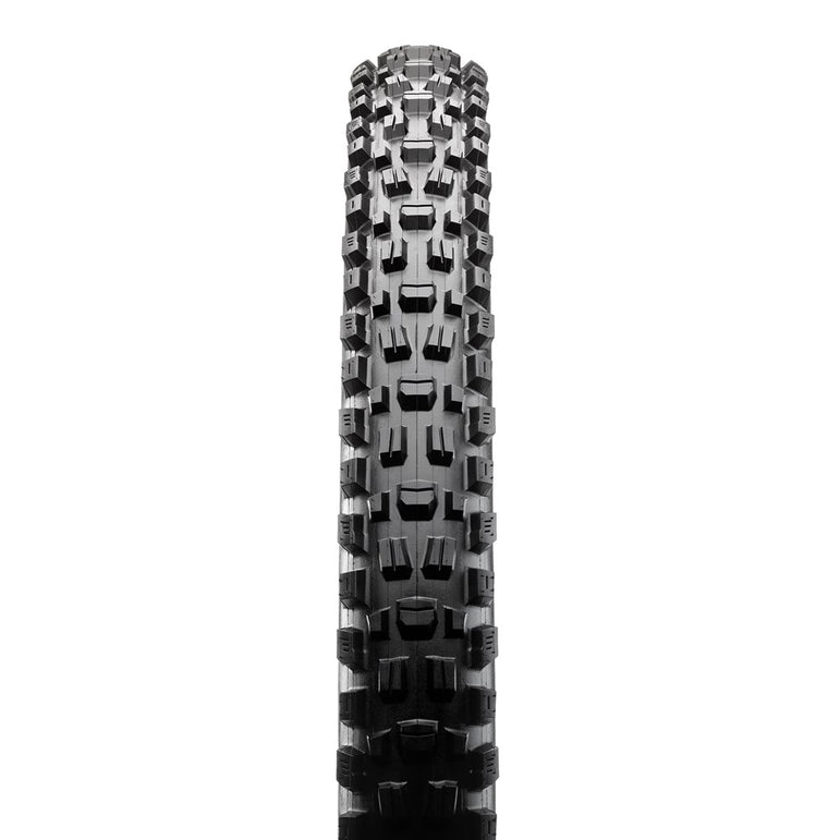 ASSEGAI 29 X 2.50 WT