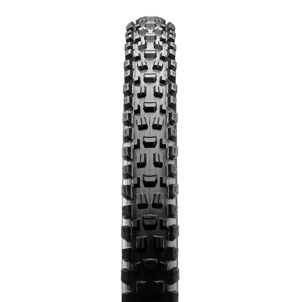 ASSEGAI 29 X 2.50 WT