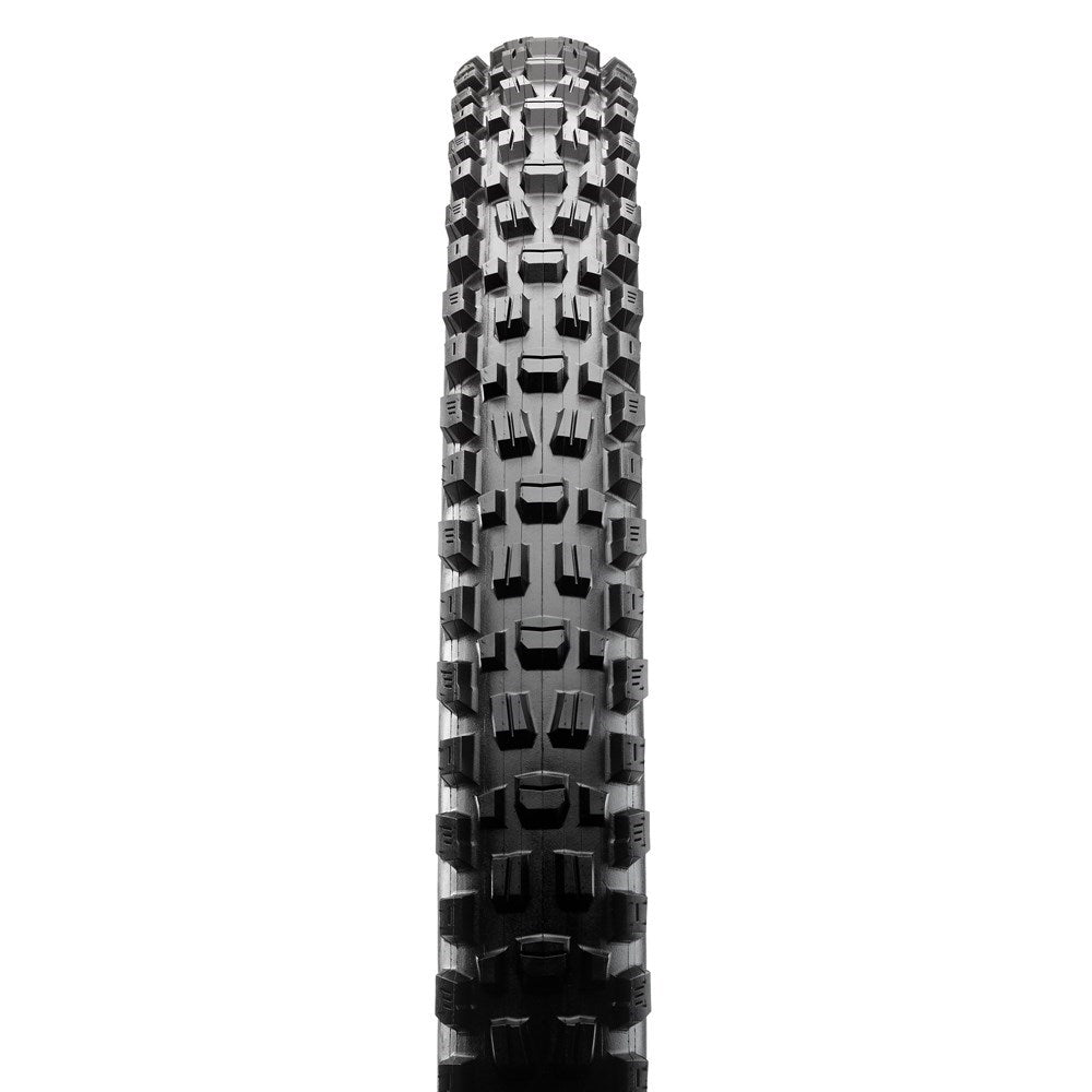 ASSEGAI 29 X 2.50 WT