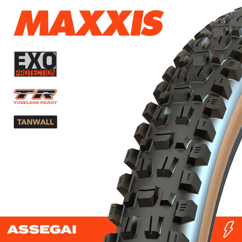 ASSEGAI 27.5 X 2.50