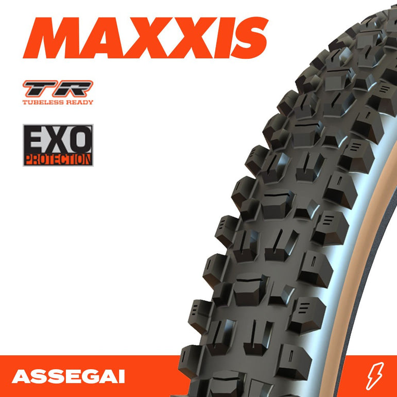 ASSEGAI 29 X 2.60