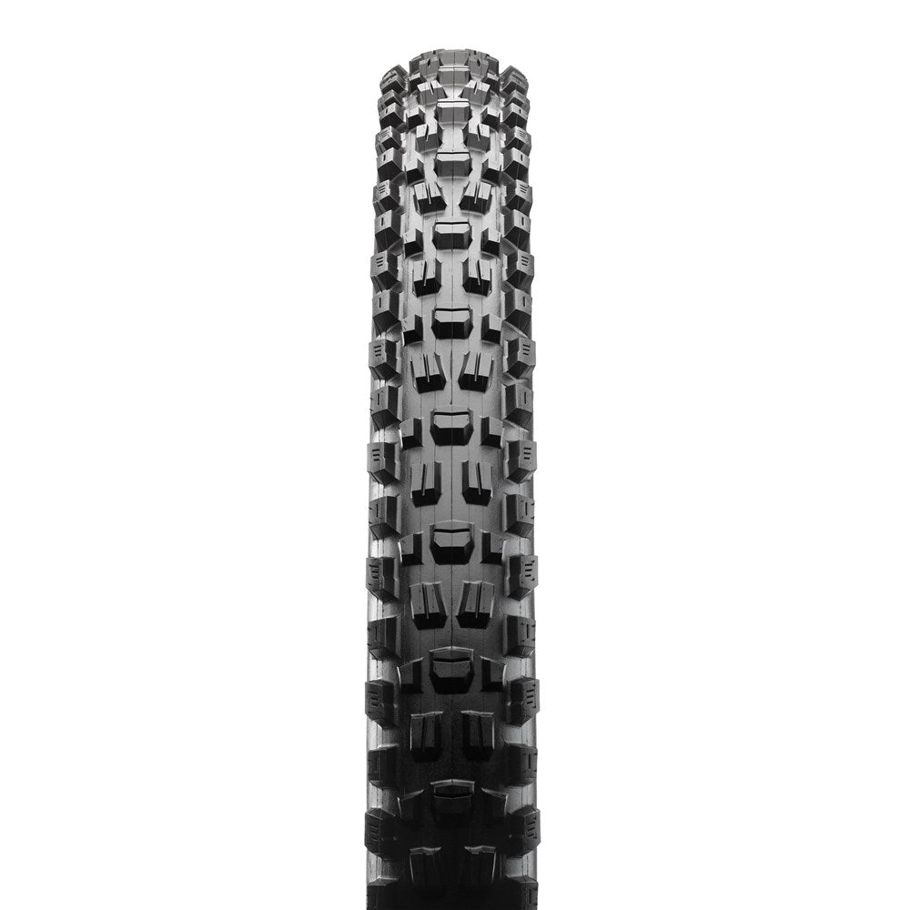 ASSEGAI 29 X 2.50 WT