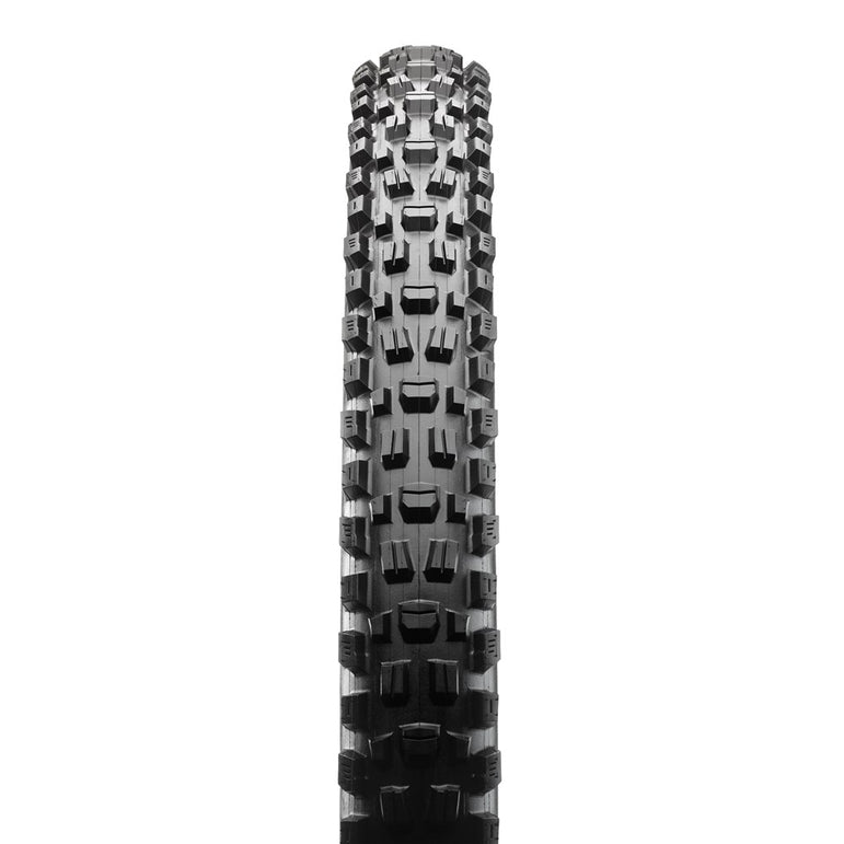 ASSEGAI 29 X 2.50 WT