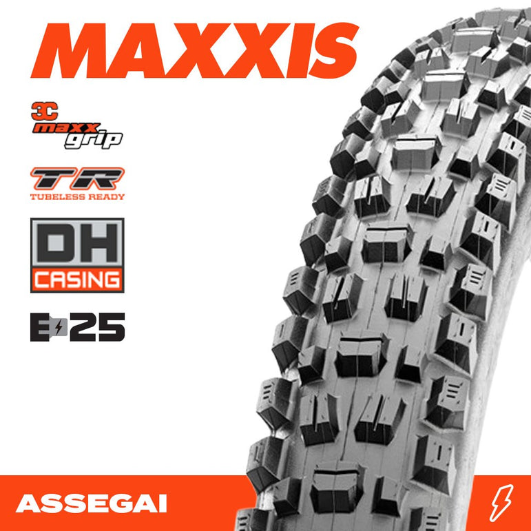 ASSEGAI 29 X 2.50