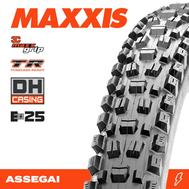 ASSEGAI 29 X 2.50