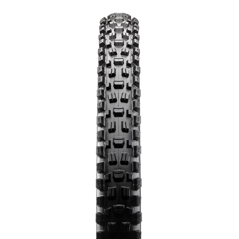 ASSEGAI 29 X 2.50