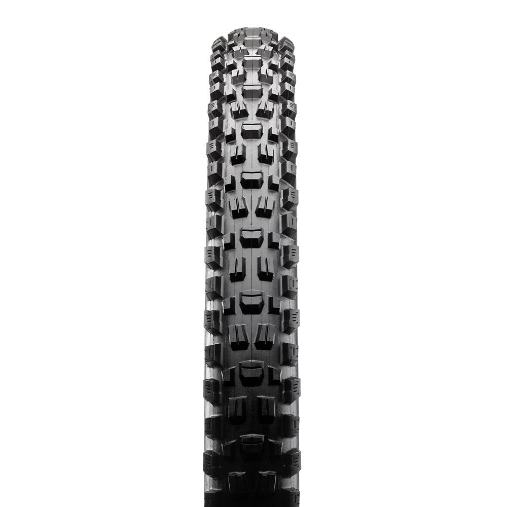 ASSEGAI 29 X 2.50