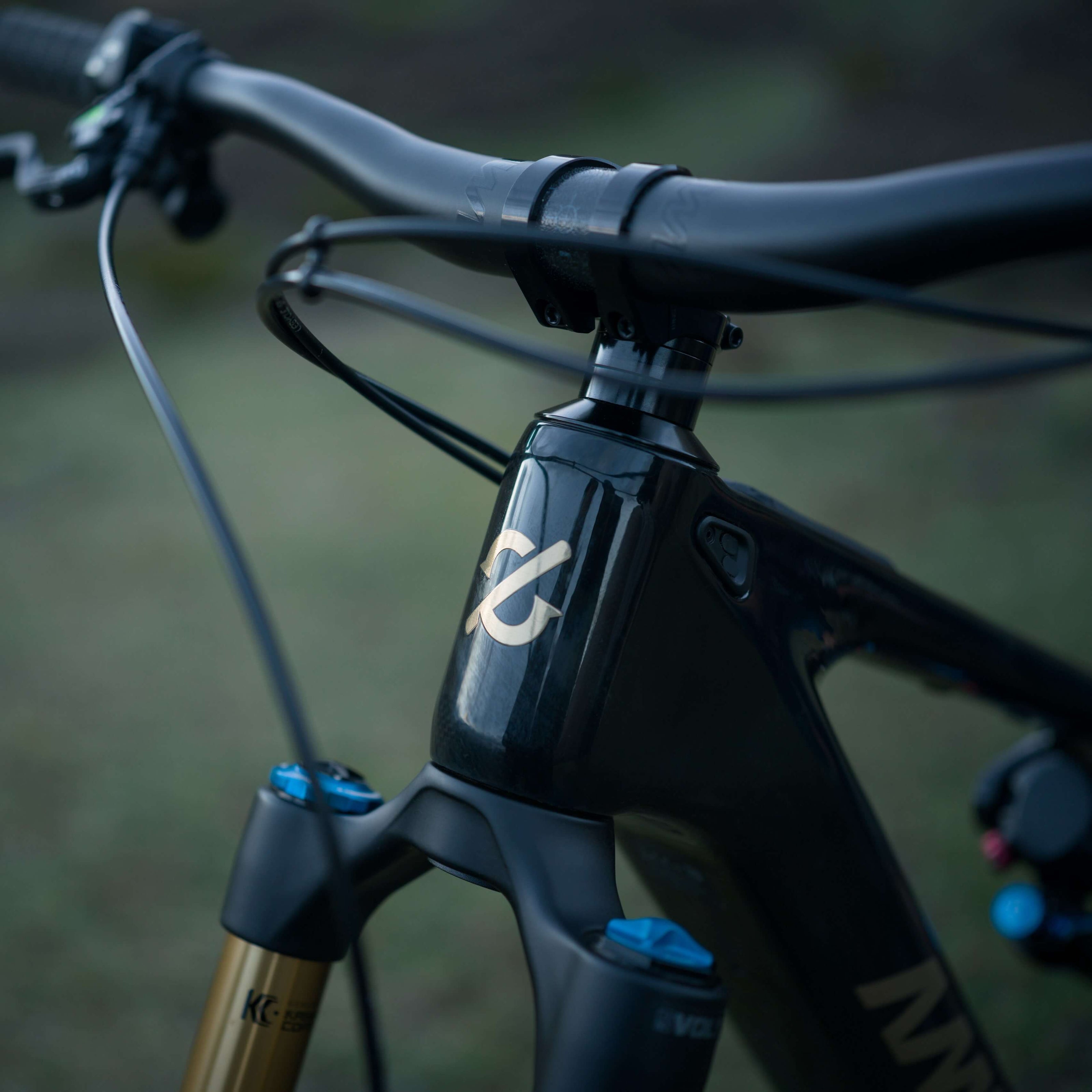 Amflow PL Carbon Pro